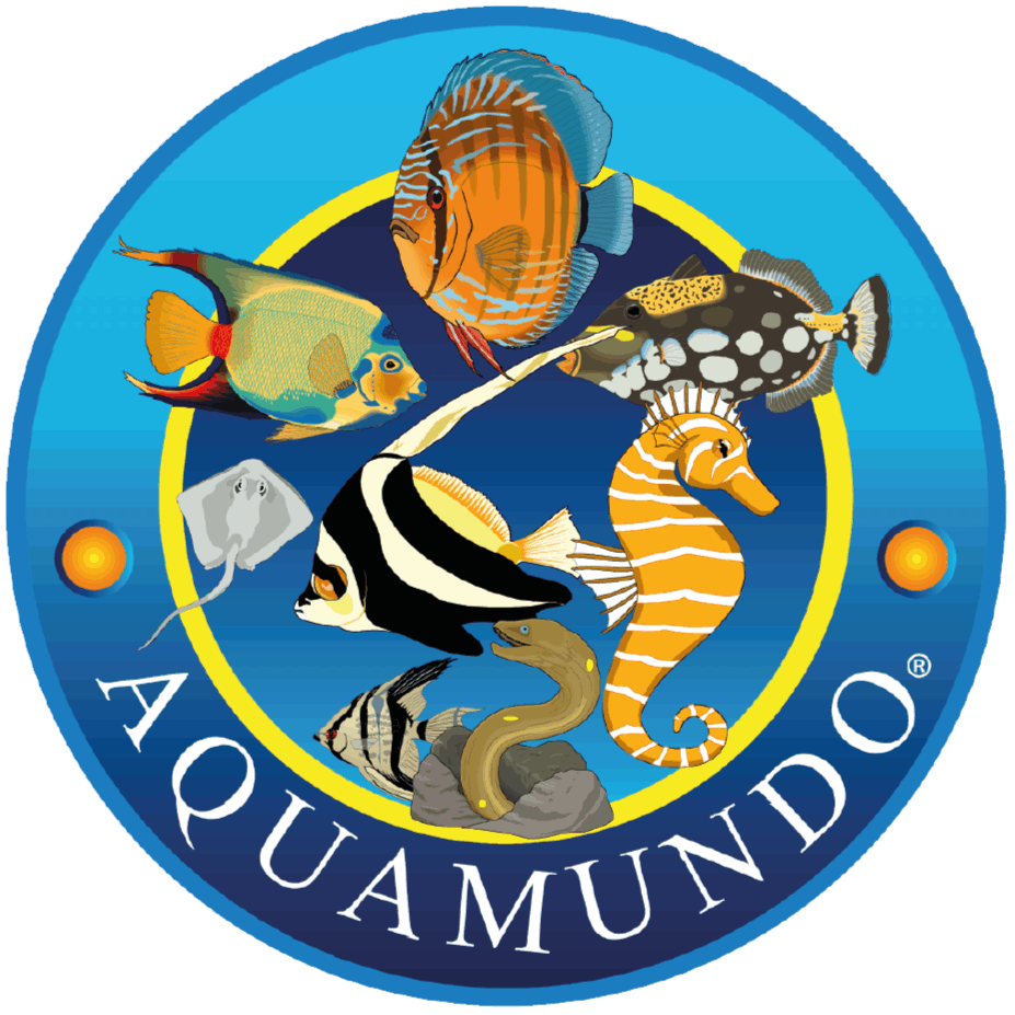 AQUAMUNDO